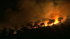 Waldbrände wüten in Andalusien