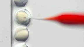 Wir nennen es unverantwortlich