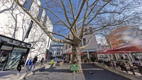 Kämpfer gegen die Atomkraft