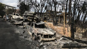 Tragen die Gläubiger eine Mitschuld?