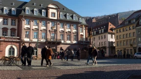 Mehr Grüne in die Rathäuser?