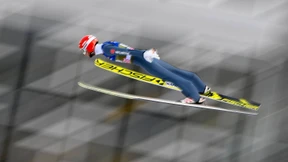 Deutsche Adler, österreichische Tiefflieger