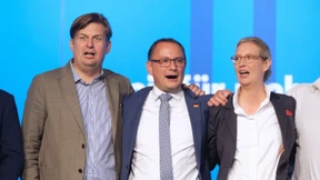 Hochstufung nach Hunderten Zitaten