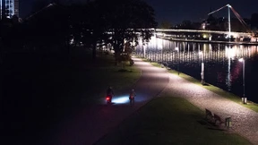 Christbaum oder gar kein Licht