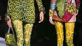 Im Gewand der Raubkatze