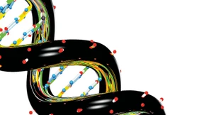 Google veröffentlicht Künstliche Intelligenz zur Genom-Entschlüsselung