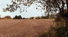 Boden vergiftet, Sanierung ausgeschlossen