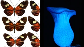 Zeit für neue Farben