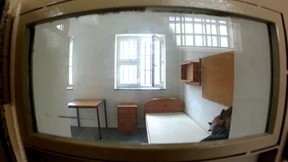 Kosten eines eiligen Gesetzes