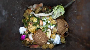 Keine Lebensmittel mehr verschwenden