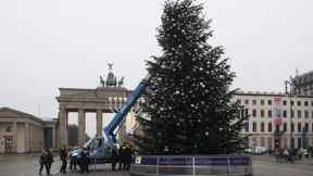 Weihnachtsbaum am Brandenburger Tor abgesägt