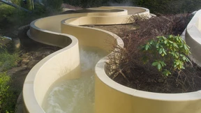 Flüchtling wegen sexueller Nötigung verurteilt