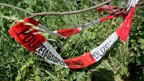 In den Knochen steckt ein ganzes Leben