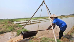 Wie auch Kleinbauern mehr ernten können