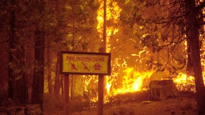 Waldbrände erreichen Yosemite-Nationalpark
