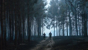 Die Zukunft des Waldes steht auf dem Spiel