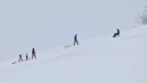 Frankfurter Schülern geht es nach Busunfall wieder besser