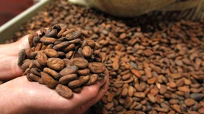 Rückschlag für die Aktie von Barry Callebaut