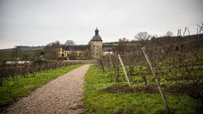 Der neue Chef stellt auf Öko um