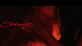 Shawn Mendes lässt Camila Cabello fallen