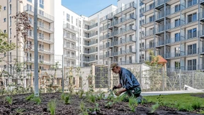 Gallus wird Frankfurts größter Stadtteil
