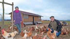 Der Kampf um den Boden