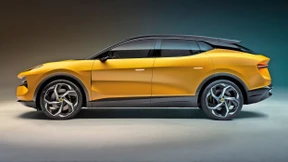 Wildwuchs im Lotus-Garten