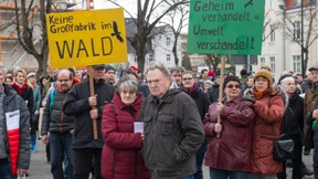 Grüne Gratwanderung in Grünheide