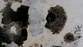 Finanzmakler dürfen Provision nicht an Kunden weitergeben 