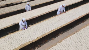 Der umstrittene Alleskönner