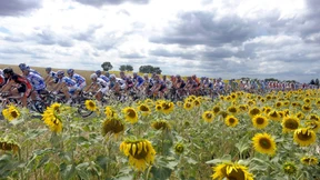 Contador oder Froome?