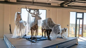 Nachhaltigkeitspräferenz: Wer „Nein“ ankreuzt, hat seine Ruhe