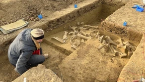 Die Mammutmetzgerei von Sankt Pölten