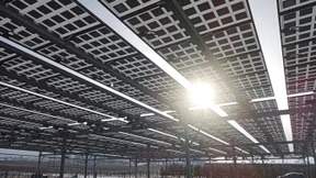 Wein und Sonne ernten