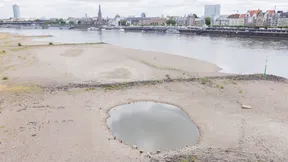 Trockener Rhein lässt Schiffer zittern