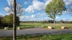 Klimanotstand als Totschlag-Argument?