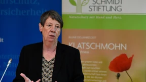 Hendricks verlangt Machtwort der Kanzlerin