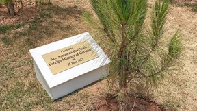 Baerbocks mickrige Pinie in Islamabad