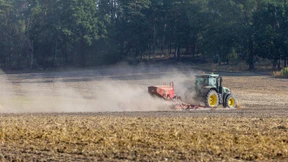 Wenn Dürren wie Blitze einschlagen