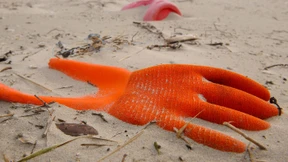 Umweltschützer sammeln 8,5 Tonnen Müll