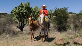 Ausnahmezustand in der Sierra Madre 