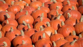 Kürbis-Attacken aus fahrendem Auto