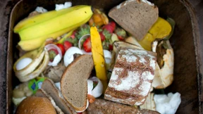 Brot, Bier und die Welt verbessern