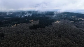 Bad Orb bekräftigt sein Nein zum Windpark