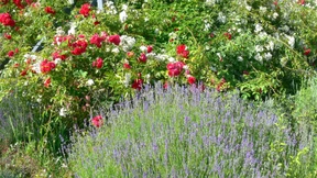 Anregungen für Geist und Körper