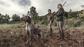 Die innere Sicherheit