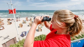 „Die Leute sind über die Maßen ignorant“