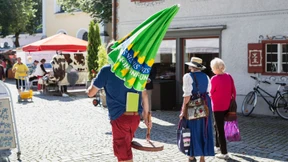 Vergleiche Seehofer, Horst (2008)