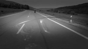 Die apoplektischen Reiter