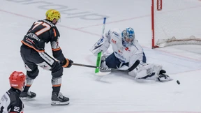 Auf der Suche nach dem Besonderen